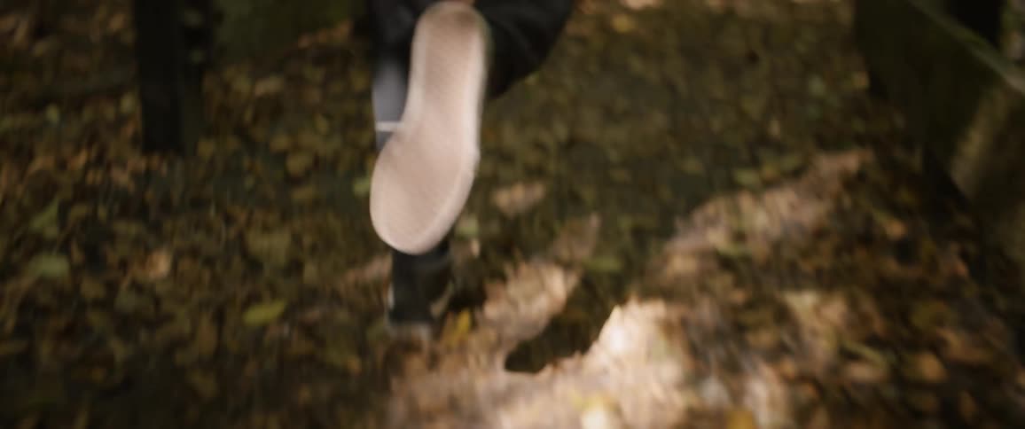 Person jogs through dead leaves on a sunny day