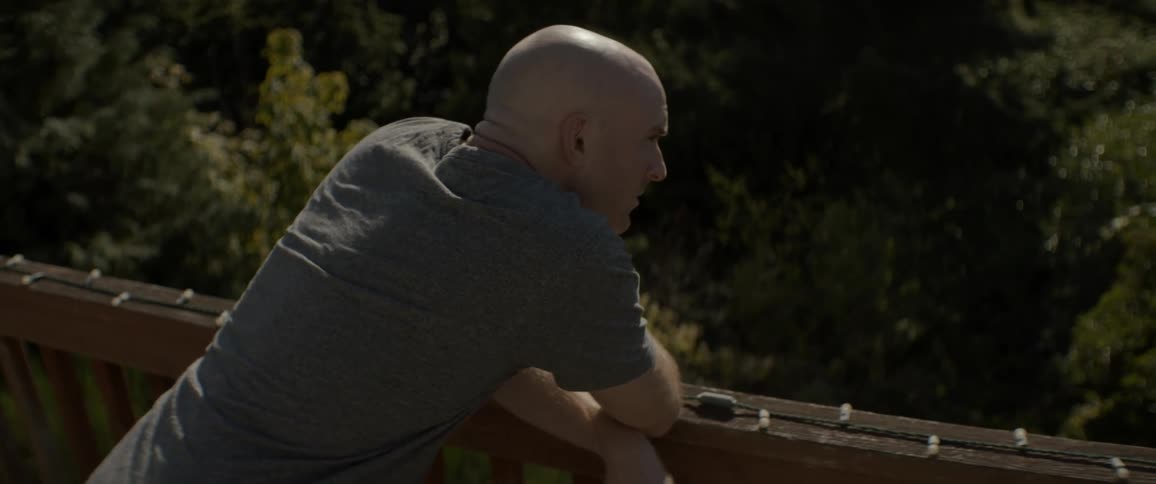 Bald man leans on a bridge railing as he looks at the trees below