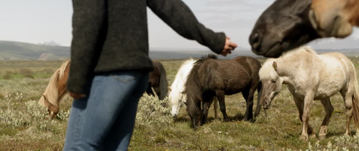 A woman walks outside with horses