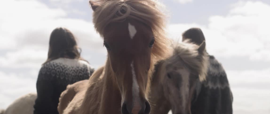 Two women walk near horses