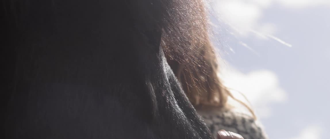 Woman pets a black horse's face