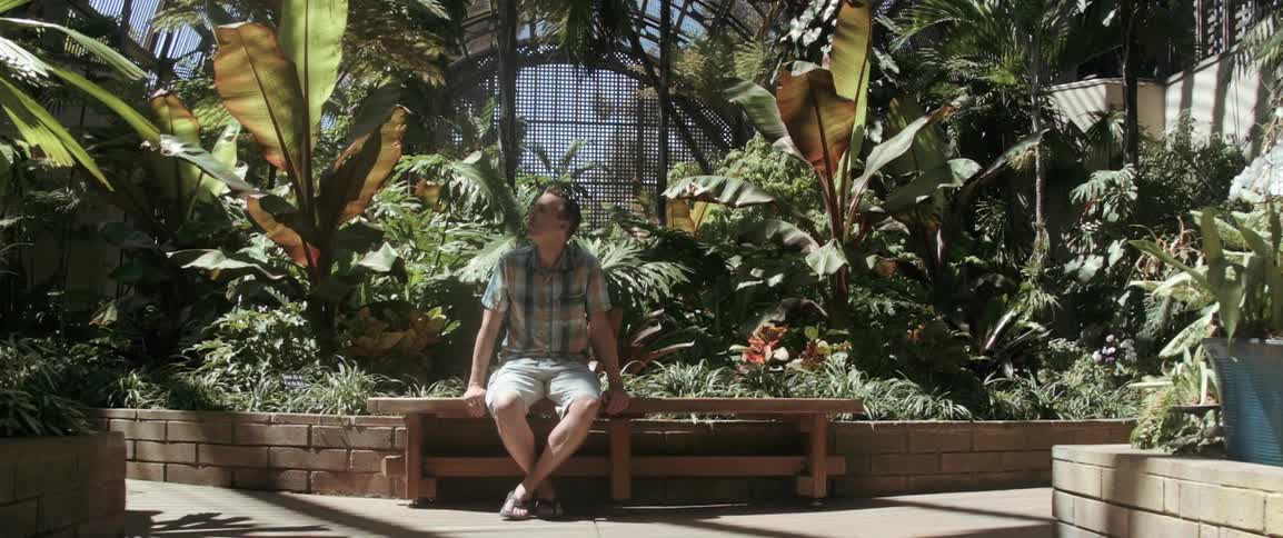 A man sitting on a bench in a large enclosed garden