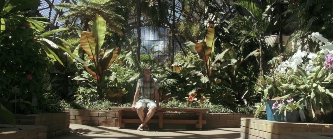 A man sits on a bench in an indoor botanical garden full of flowers and plants