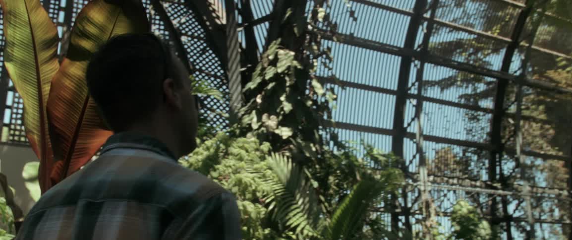A man walks inside a large greenhouse looking at the plants
