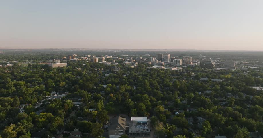 Trees cover suburb outside small city downtown under a light blue sky