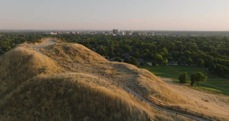 A forest is before the city