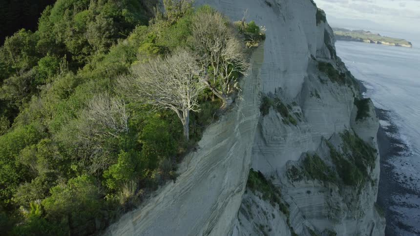 Forest fills slope leading to cliff overlooking beach under a cloudy sky