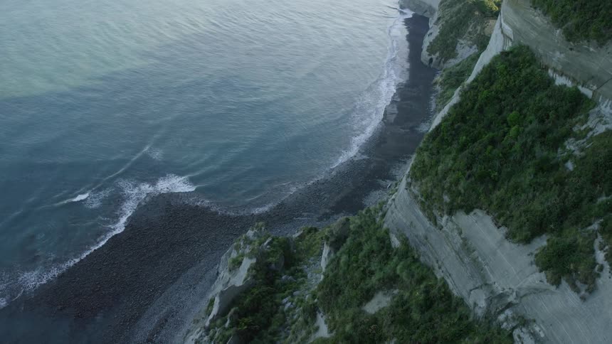 Vegetation covers portion of seaside cliff overlooking beach with black sand