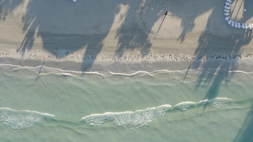 Aerial view of white sand beach and ocean