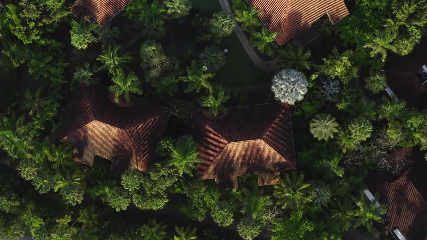 An aerial view of the rooftops of homes in a tropical Jamaican suburban neighborhood near trees and a road