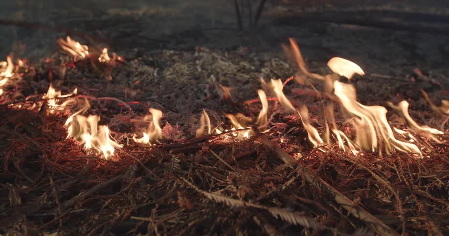 Flames rise as the wildfire spreads across the ground
