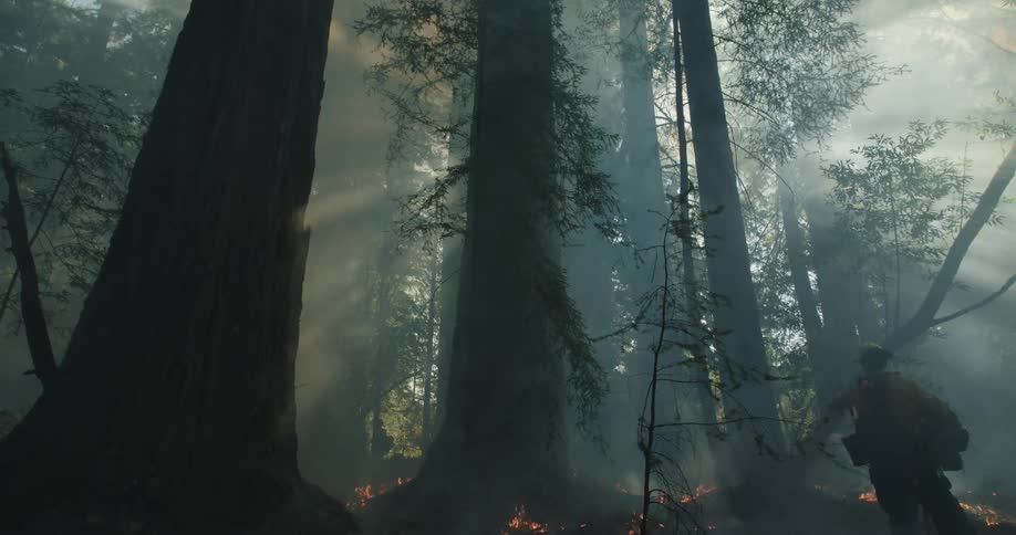 Firefighters entering forest with small fires and smoke light beams coming through from the sun and smoke