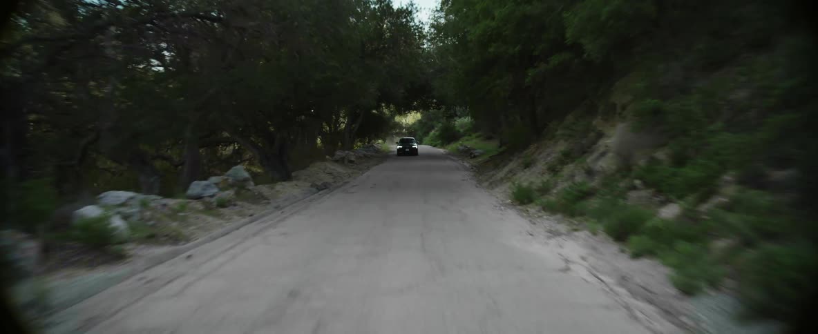 A car is driving a long a road that is lined with vegetation