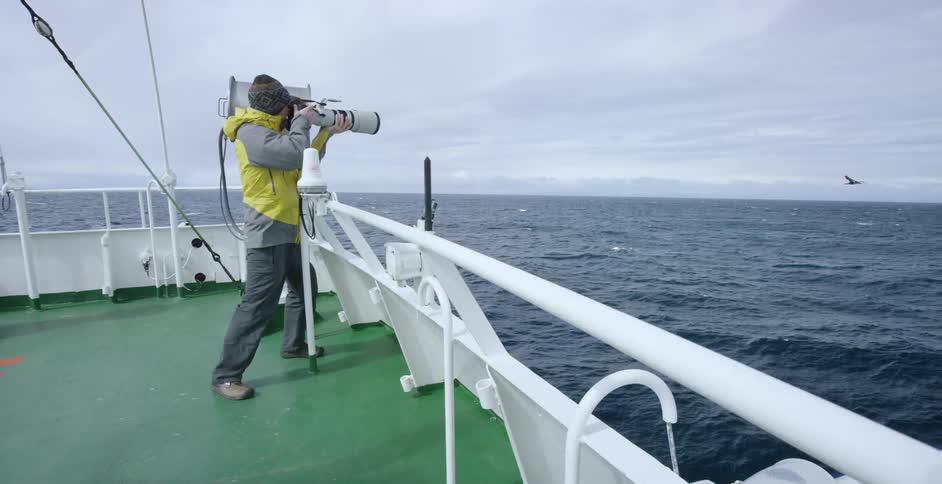 A man is taking photographs of a bird off the side of a ship