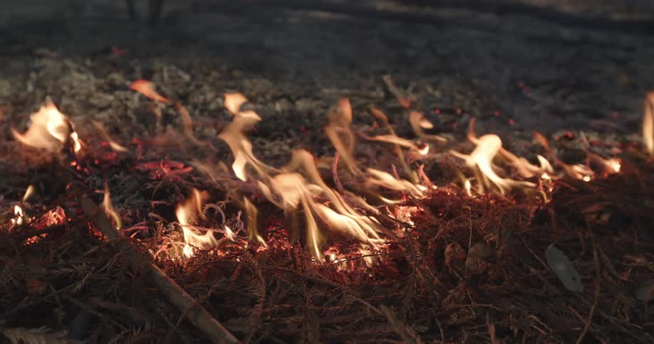The grass is on fire