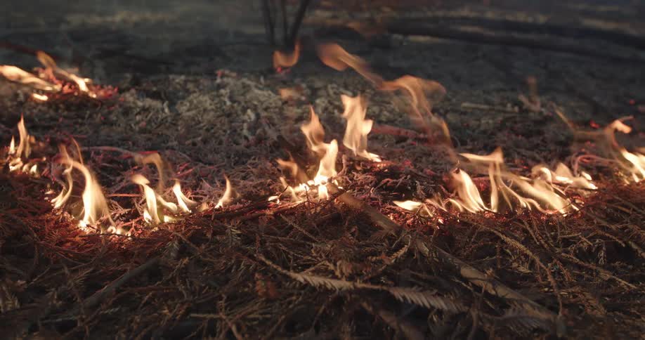 Flames burn across ground during wildfire among glowing embers leaving burnt ash