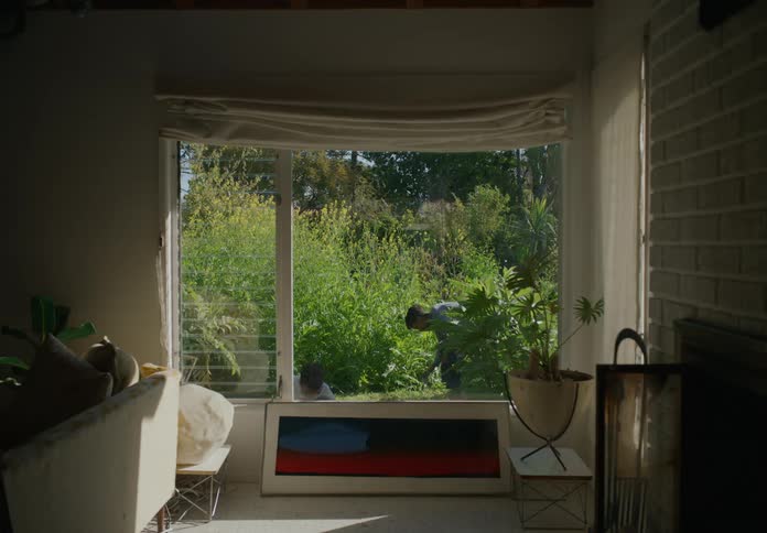 Two tween brothers outside throwing things at each other and playing as see from indoors living room window
