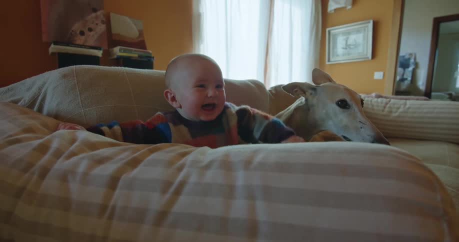 Baby sitting on couch next to dog laughs
