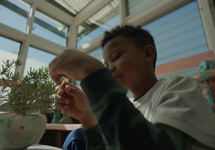 A young boy sitting at a table touching a plant in front of him