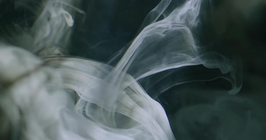 Light and shadow flow over pale translucent mass of uneven tubes and tendrils