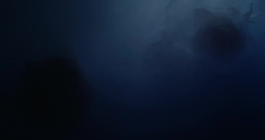 A white rose in a dark shadowy room with lights and fog