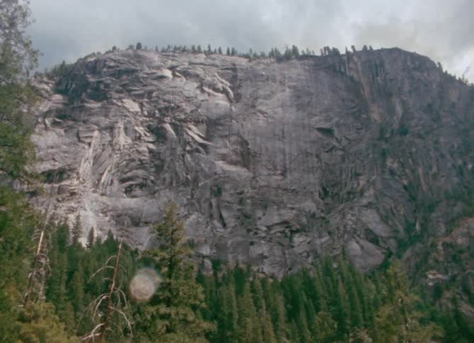 Cliff carved out of mountain or maybe a bluff in coniferous wilderness environment
