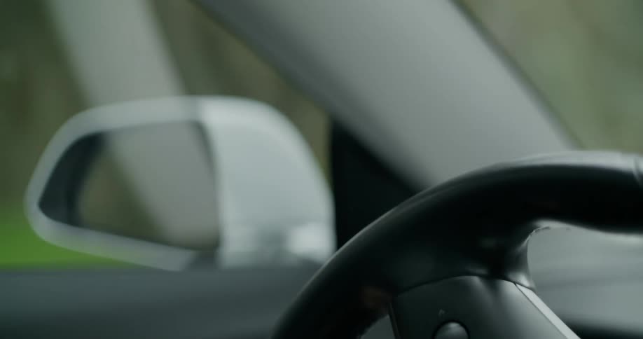 A person is driving a car through the spring time