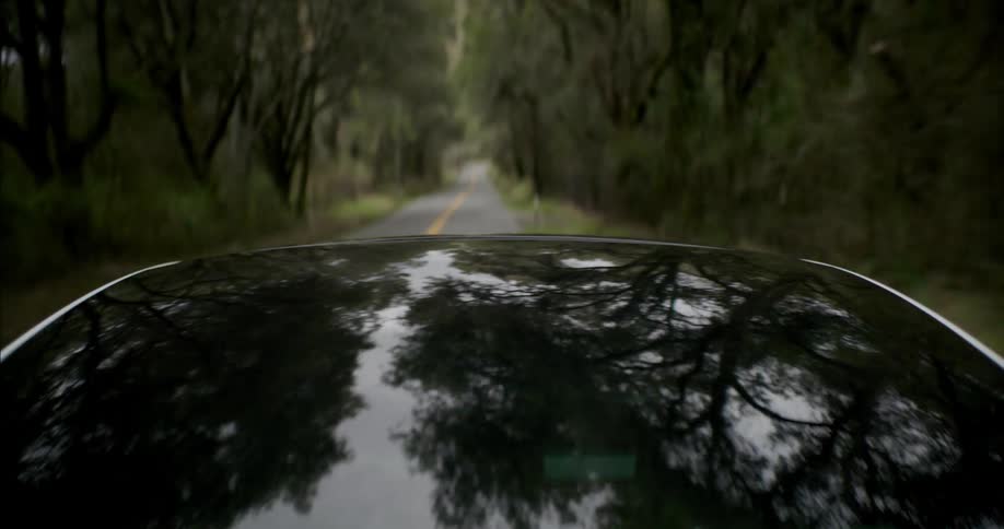 A vehicle drives forward along a two lane road that is lined with trees