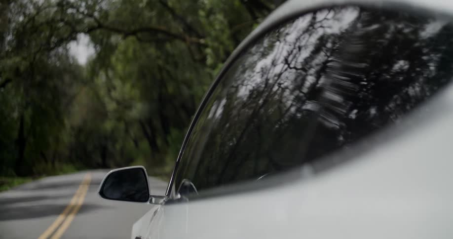 Car drives along highway bordered by trees that arch over the road