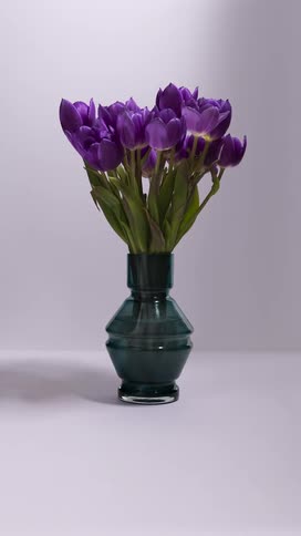 Time lapse of flowers blooming and dying in a vase