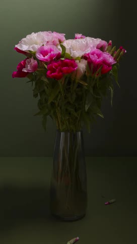 Time lapse flowers in a vase blooming and wilting