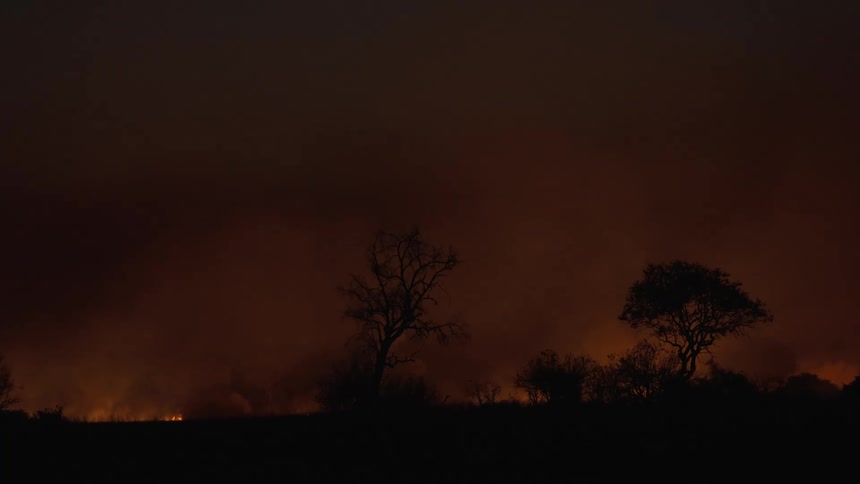 A silhouette of a treeline with smoke billowing off a wild fire in the forest