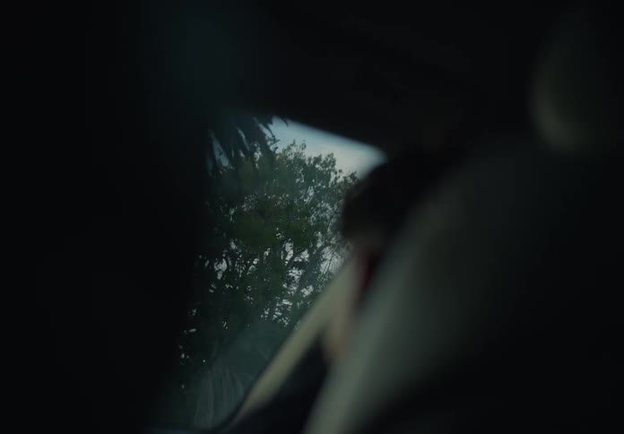 A close up of a person riding in the front seat of a car as it drives by trees