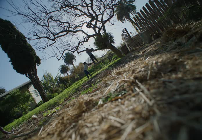 Two boys playing on a swing hanging from a tree in the backyard at morning