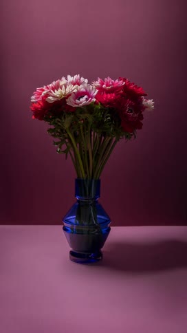 Time lapse bouquet of flowers blooming then dying in blue vase