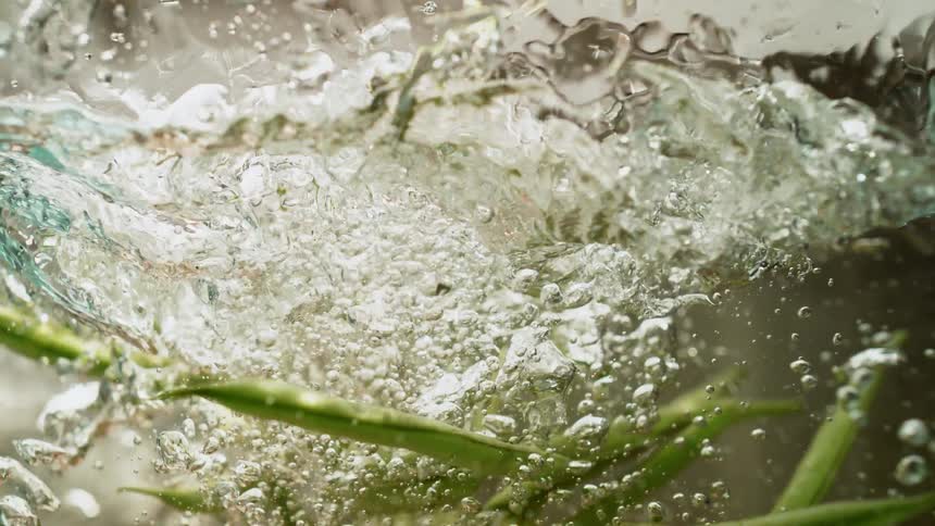 Green beans are dropped into the boiling water