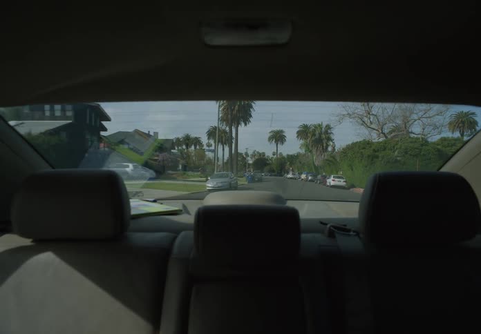 Pov through the rear window of a car and backseat while driving down a street lined with palm trees