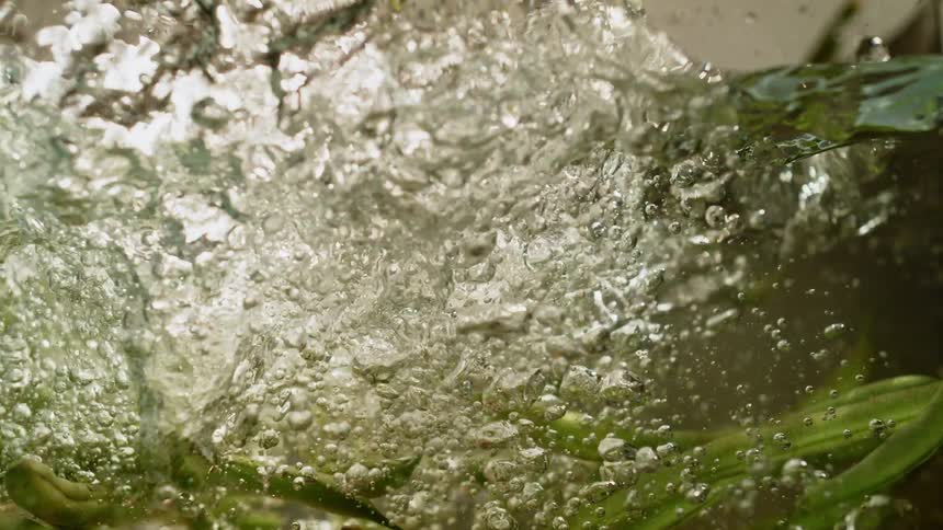 A bunch of string green beans are dropped into water with a splash and bubbles