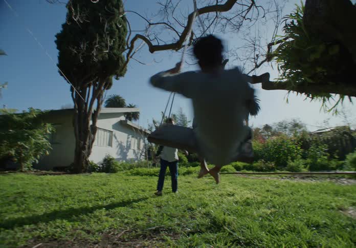 Brothers playing on a swing hanging from a tree in the backyard at morning