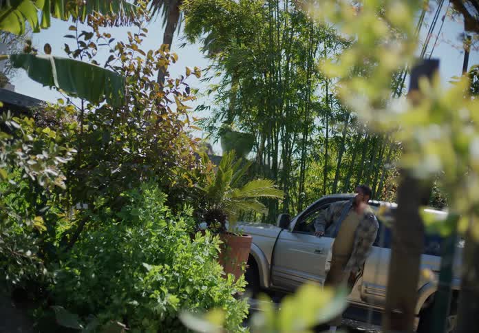 A man pulls up in his car and walks past tall plants