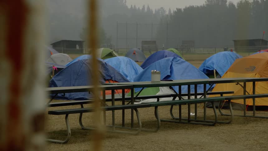 Picnic tables and tents occupy camping ground near foggy conifer forest