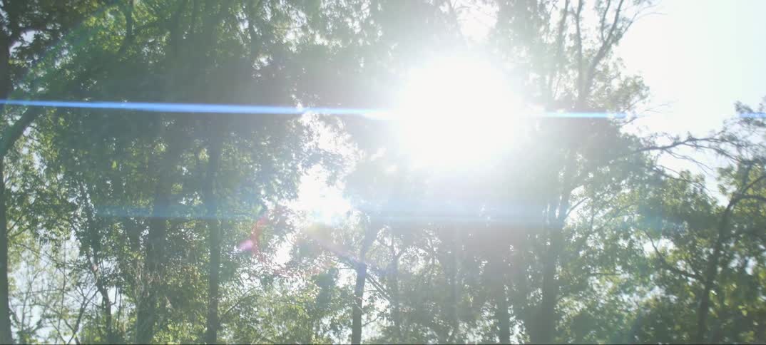 The sunshine peeks through the trees