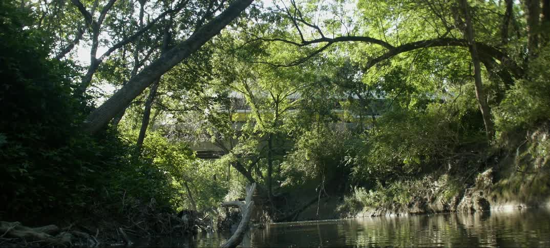 A bus drives over a bridge near a forest