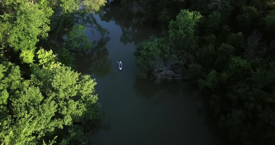An overhead view of a person in a canoe and paddling down a river surrounded by trees