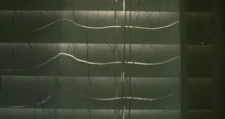 A curtain moves against closed blinds