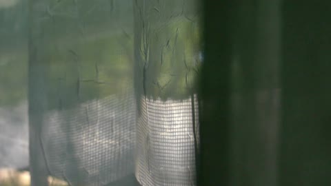 Shadows and light are reflecting on a window curtain during the day