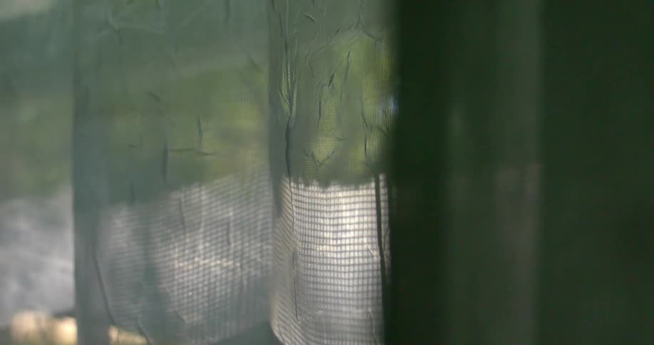 Shadows and light are reflecting on a window curtain during the day