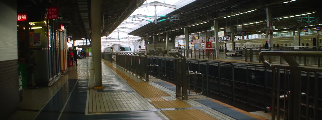 People walking at a terminal as a subway drives through