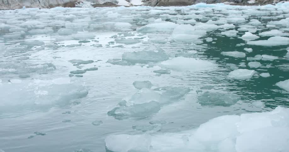 Ice floats all around the water by the shore