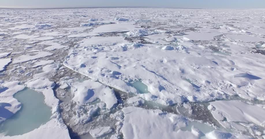 A field of icebergs on an ocean